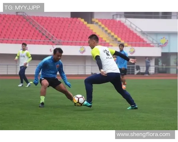 申鑫与梅州客家对决前瞻分析双方实力与战术布局的全面解读