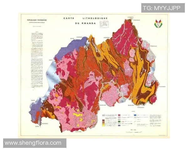 突尼斯与安哥拉的较量结果揭晓谁是胜者分析与回顾 突尼斯与安哥拉的较量结果揭晓谁是胜者分析与回顾
