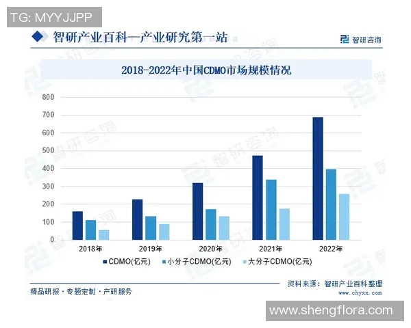 首尔与水原三历史对决的精彩回顾与发展历程分析